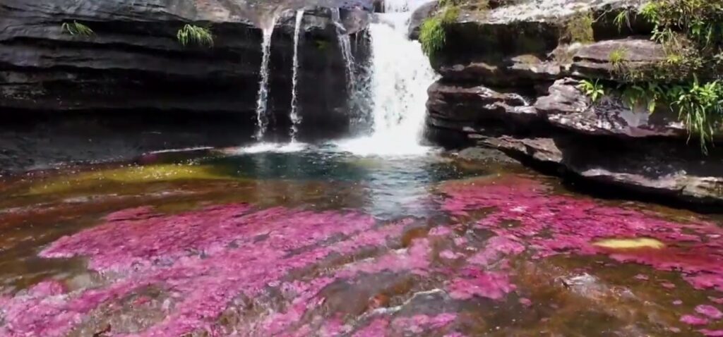 Rainbow River In Colombia drone view